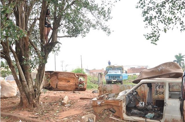 Foto de Jovem sobe em árvore e impede corte