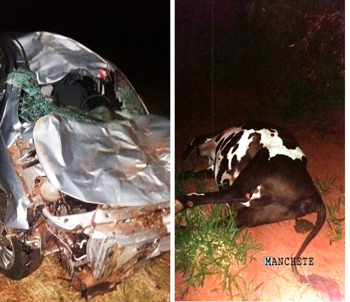 Foto de Motorista morre após colidir veículo contra uma vaca