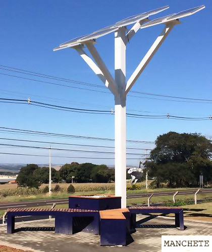 Empaca a ‘árvore’ dos Barros em parceria com a Viapar 7 Foto de Empaca a ‘árvore’ dos Barros em parceria com a Viapar