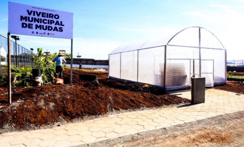 Detentos vão produzir mudas de árvores e flores para a Prefeitura de Maringá 1 viveiro Detentos vão produzir mudas de árvores e flores para a Prefeitura de Maringá
