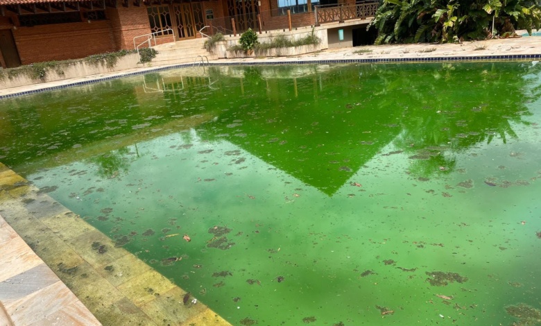 Dengue: abandonado, Clube Hípico preocupa 1 piscina clube hipico Dengue: abandonado, Clube Hípico preocupa