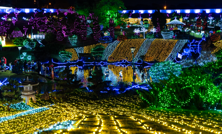 Parque do Japão registra público de quase 70 mil pessoas em menos de uma semana 1 parque do japao Parque do Japão registra público de quase 70 mil pessoas em menos de uma semana