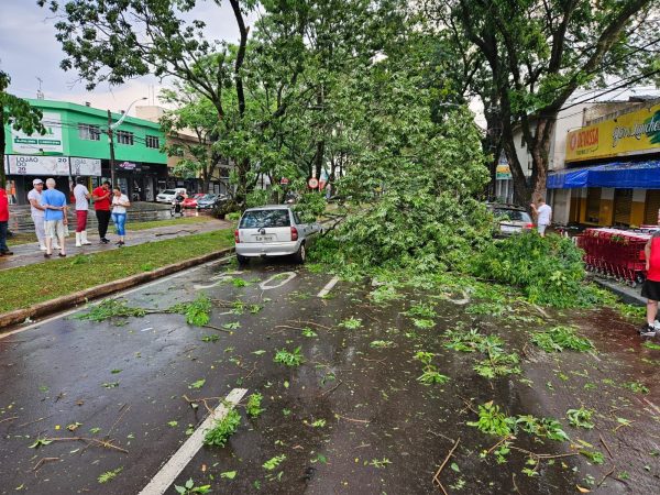 Tenda desaba com forte chuva e deixa 8 pessoas feridas em Maringá 2 tempestade 2 Tenda desaba com forte chuva e deixa 8 pessoas feridas em Maringá