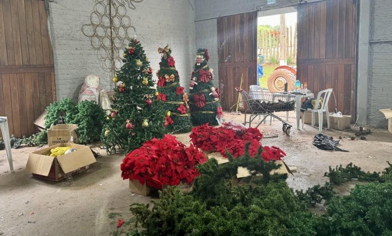 Sociedade Rural de Maringá promove Natal Rural com decoração e programação especial 1 Preparativos Natal Sociedade Rural de Maringá promove Natal Rural com decoração e programação especial