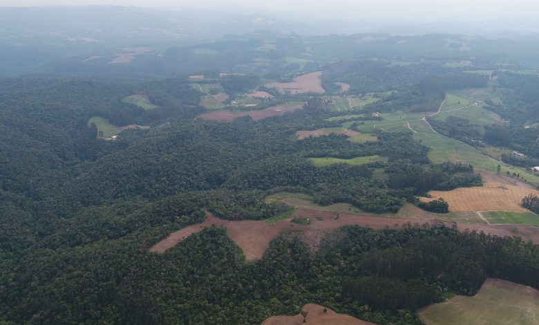 Desmatamento irregular destrói uma das maiores reservas ambientais de Santa Catarina 1 area destruida da Fazenda Parolin Desmatamento irregular destrói uma das maiores reservas ambientais de Santa Catarina