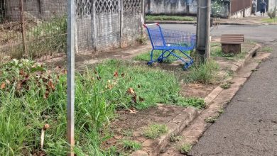 Tô nem aí 4 Foto de Tô nem aí