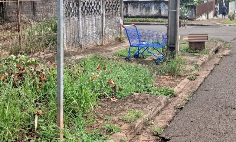 Tô nem aí 1 carrinho de mercado Tô nem aí
