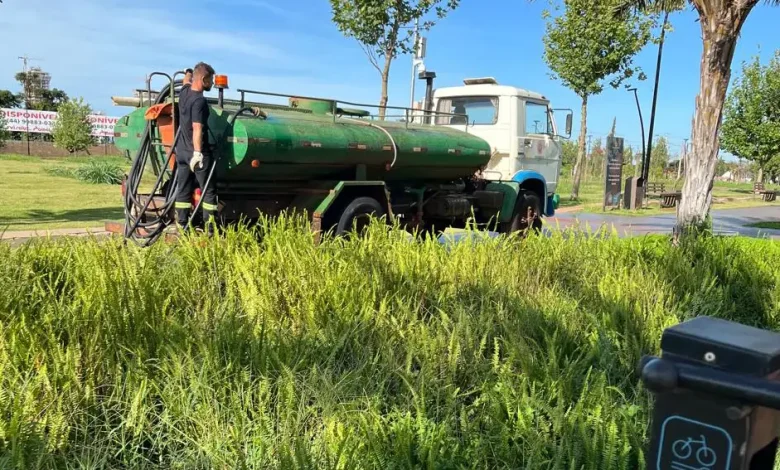 Sustentado pelo dinheiro público 1 eurogarden Sustentado pelo dinheiro público