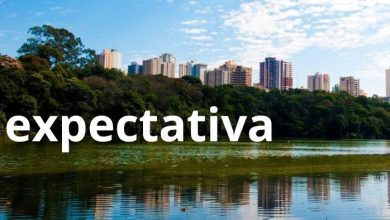 Revitalização do Parque do Ingá desafia harmonia entre lazer e preservação 5 Foto de Revitalização do Parque do Ingá desafia harmonia entre lazer e preservação