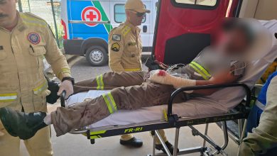 Foto de Trabalhador se fere com motosserra ao realizar poda de árvore em Maringá