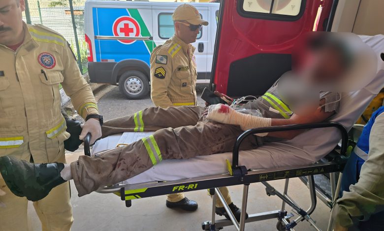 Trabalhador se fere com motosserra ao realizar poda de árvore em Maringá 1 acidente de trabalho Trabalhador se fere com motosserra ao realizar poda de árvore em Maringá