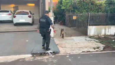Foto de Denarc faz operação contra organização criminosa