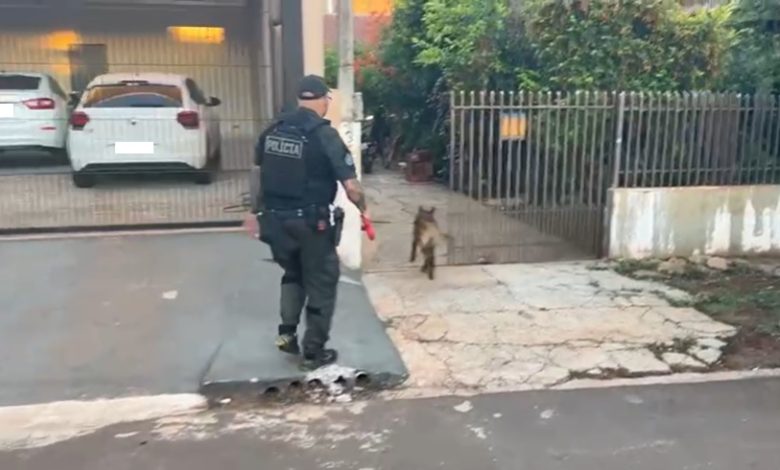 Denarc faz operação contra organização criminosa 1 denarc Denarc faz operação contra organização criminosa