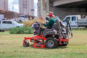Prefeitura e Câmara apertam o cerco contra os proprietários de terrenos abandonados 2 rocada 1 Prefeitura e Câmara apertam o cerco contra os proprietários de terrenos abandonados