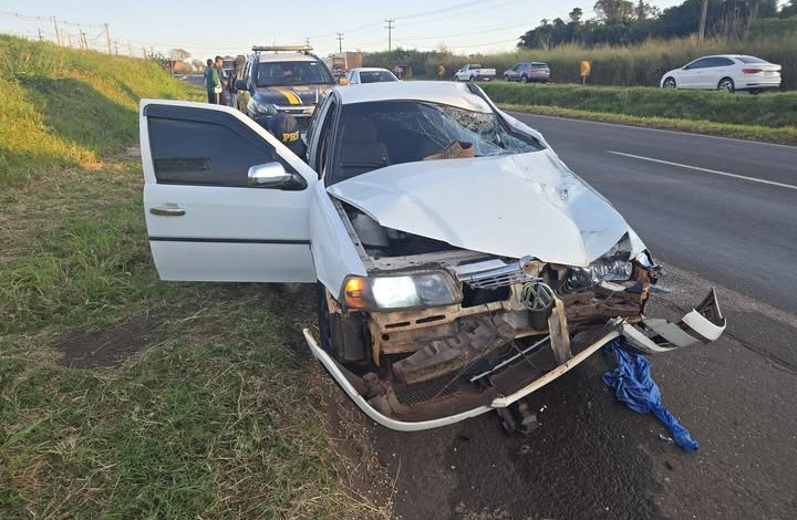Homem morre atropelado por carro na rodovia BR-376 1 acidente atropelamento Homem morre atropelado por carro na rodovia BR-376