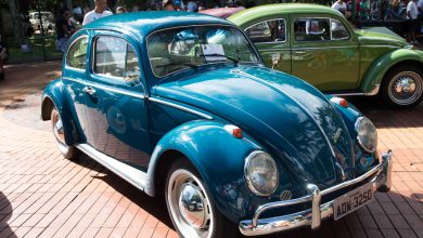 Foto de Agora é Lei: preservação da história e cultura dos carros antigos