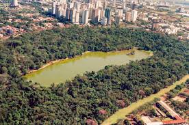 Uma cidade que não consegue cuidar de seus parques pode ser considerada uma das melhores do Brasil para viver? 5 Foto de Uma cidade que não consegue cuidar de seus parques pode ser considerada uma das melhores do Brasil para viver?