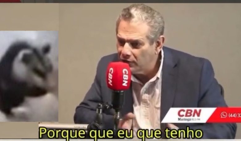 Prefeito Silvio Barros II é desmentido por documentos 1 silvio e gamba Prefeito Silvio Barros II é desmentido por documentos