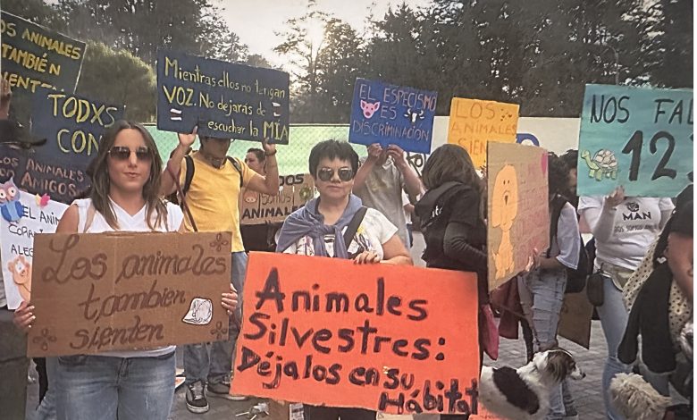 Maringaense integra a Academia Brasileira de Direito Animal e Natureza 1 tereza Maringaense integra a Academia Brasileira de Direito Animal e Natureza