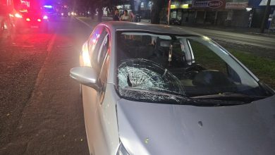 Homem com sintomas de embriaguez sofre acidente grave ao ser atropelado na Avenida Colombo 5 Foto de Homem com sintomas de embriaguez sofre acidente grave ao ser atropelado na Avenida Colombo