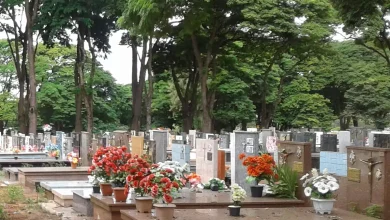 Contra o furto no cemitério 4 Foto de Contra o furto no cemitério