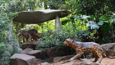 Novos projetos...ideias ultrapassadas 6 Foto de Novos projetos…ideias ultrapassadas