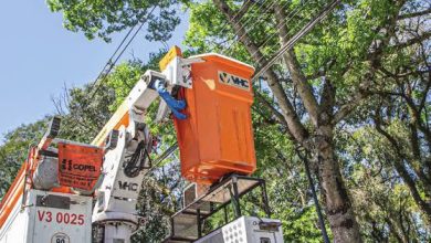 Vereador cobra Copel por descumprimento contratual na coleta de resíduos de poda em Maringá 1 Foto de Vereador cobra Copel por descumprimento contratual na coleta de resíduos de poda em Maringá
