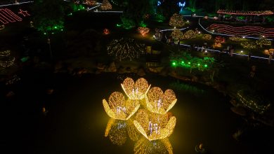 Prefeito anunciou Maringá Encantada até dia 11, prefeitura informa agora que prorrogou até 21 de janeiro 5 Foto de Prefeito anunciou Maringá Encantada até dia 11, prefeitura informa agora que prorrogou até 21 de janeiro