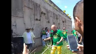 Foto de Empresário Luciano Hang “o Véio da Havan” corta mato alto em rotatória defronte a loja que inaugura hoje em Maringá