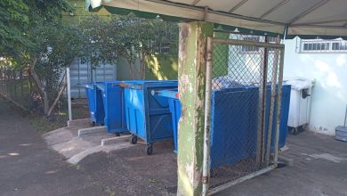 Foto de Lixo hospitalar exposto