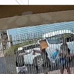 feminicidio mandaguacu 1 Mulher é morta a tiros em Mandaguaçu pelo companheiro