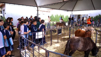 Foto de Mais de mil estudantes da rede municipal devem visitar a Expoingá 2026
