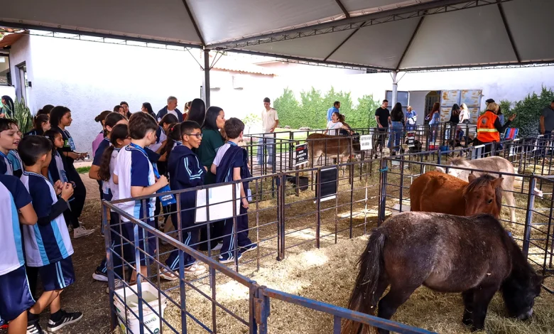 alunos expoinga Mais de mil estudantes da rede municipal devem visitar a Expoingá 2026