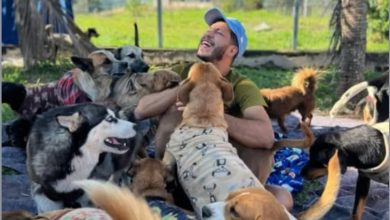 Foto de Ministério Público pede aumento de indenização contra vereador Lemuel Wilson Rodrigues por maus-tratos a animais