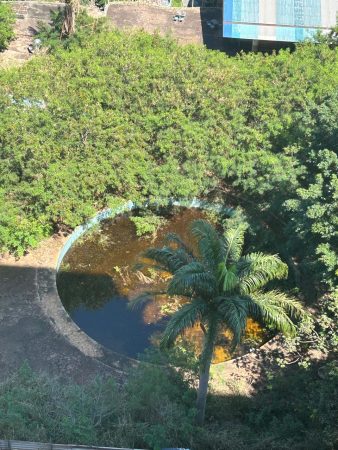 Moradores denunciam abandono do antigo Tropical Waterpark 2 WhatsApp Image 2026 09 28 at 10.39.12 Moradores denunciam abandono do antigo Tropical Waterpark
